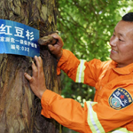 护林人员GPS管理